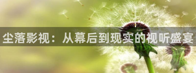 穿梭在韓國影視世界的小說：塵落影視：從幕后到現(xiàn)實的視聽盛宴